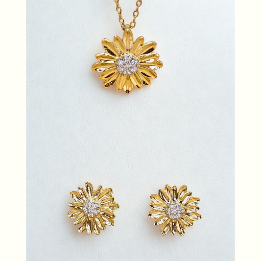 Sun Flower (Crown Daisy) Sets