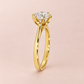 Arden Round Brilliant Engagement Ring